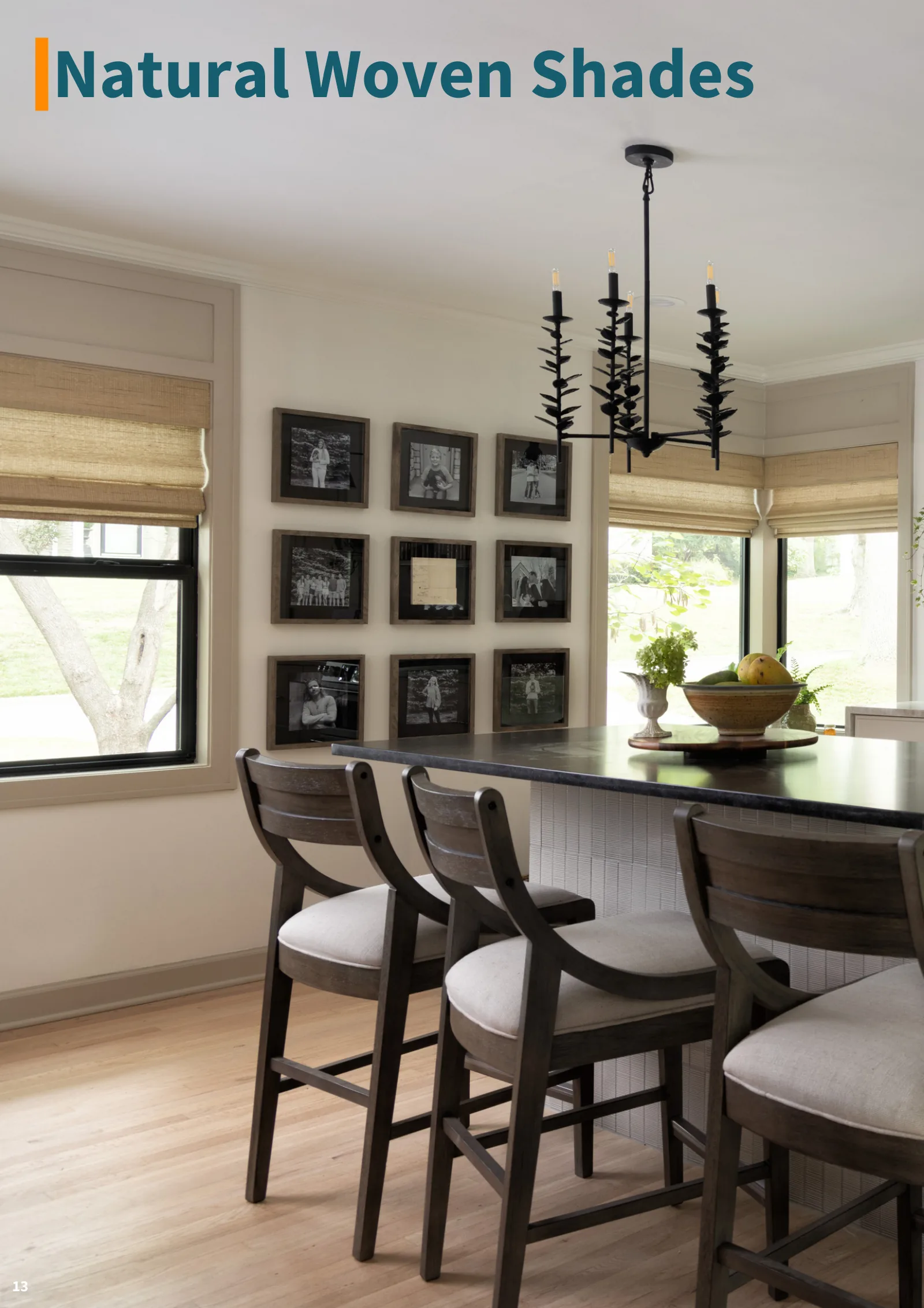 Solar Shield Blinds Idea Guide, page 14