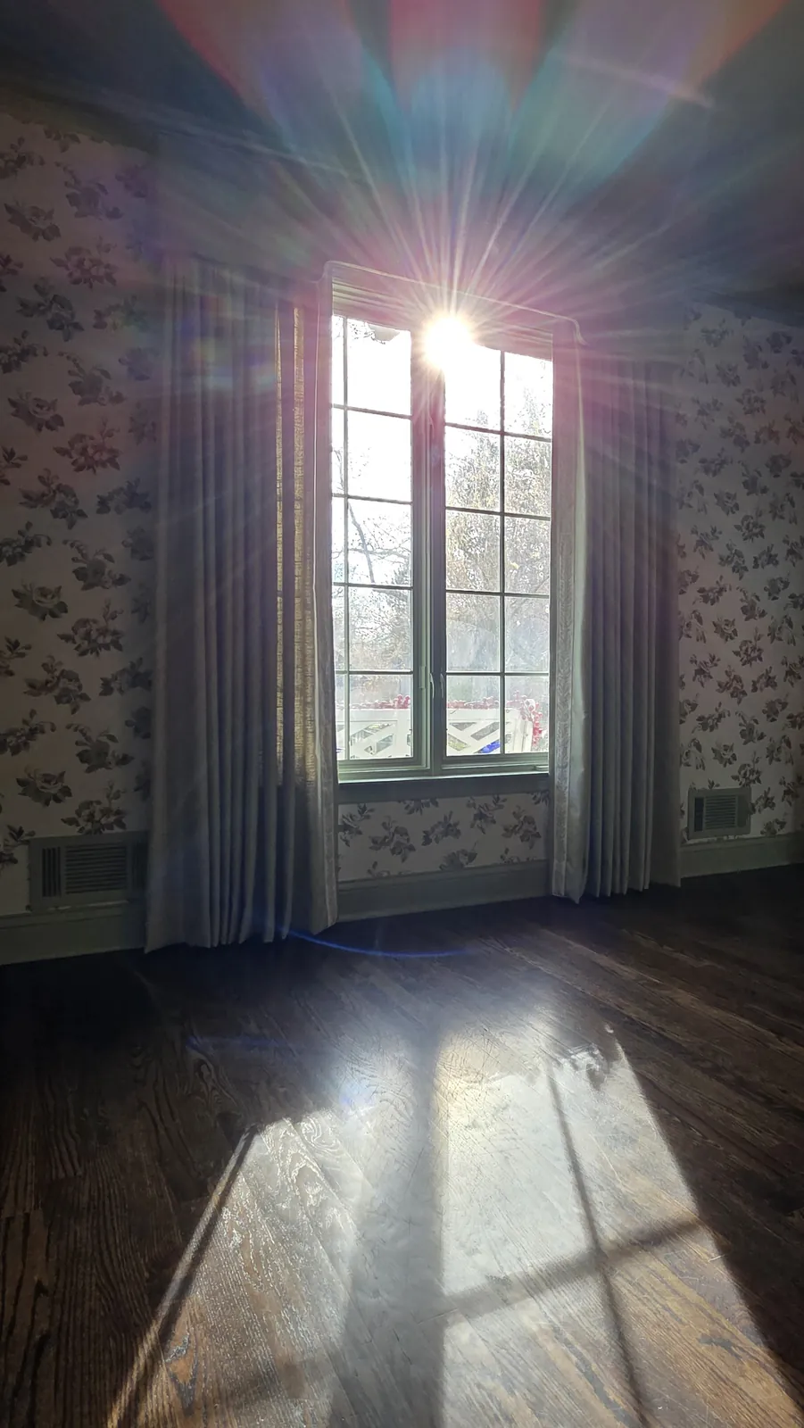 Drapery panels framing a sunlit window on a wallpapered wall, installed by Solar Shield Blinds