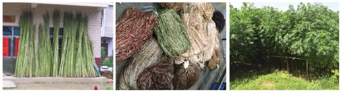 Jute option for Natural Woven Shades, from Solar Shield Blinds