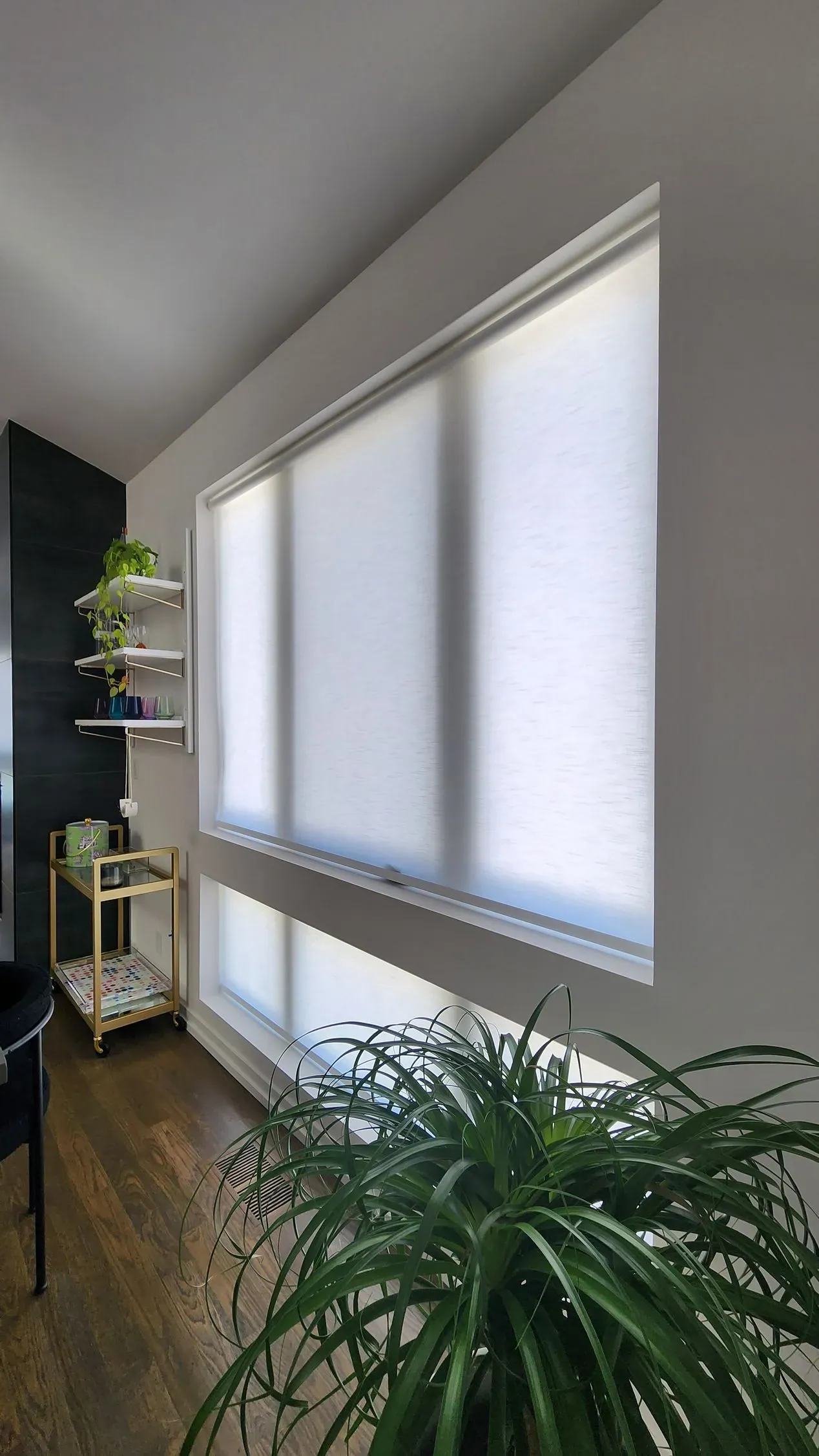 Custom roller shades closed in a dining room, installed by Solar Shield Blinds