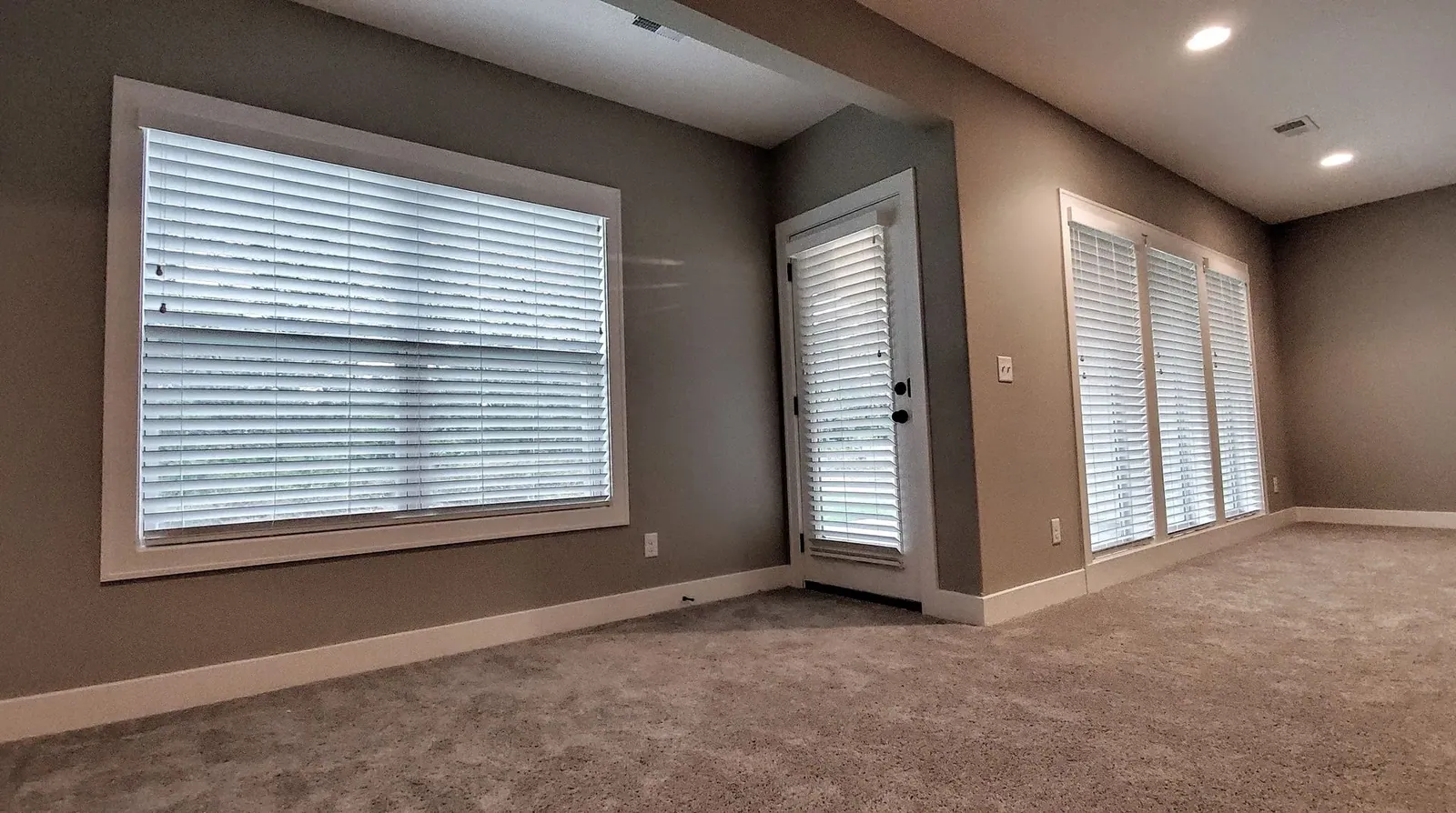 Faux wood blinds on a single swing door and the windows around it